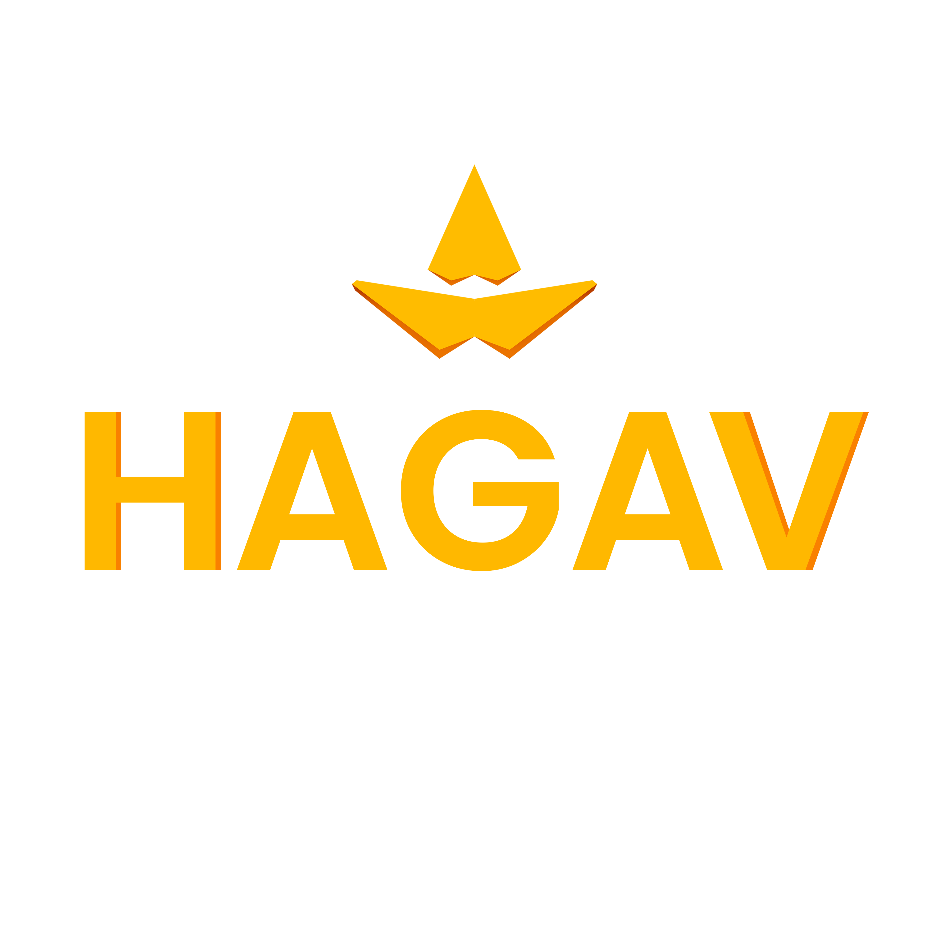 HAGAV Studio